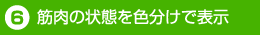 6.筋肉の状態を色分けで表示