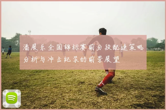 潘展乐全国锦标赛前分段配速策略分析与冲击纪录的前景展望