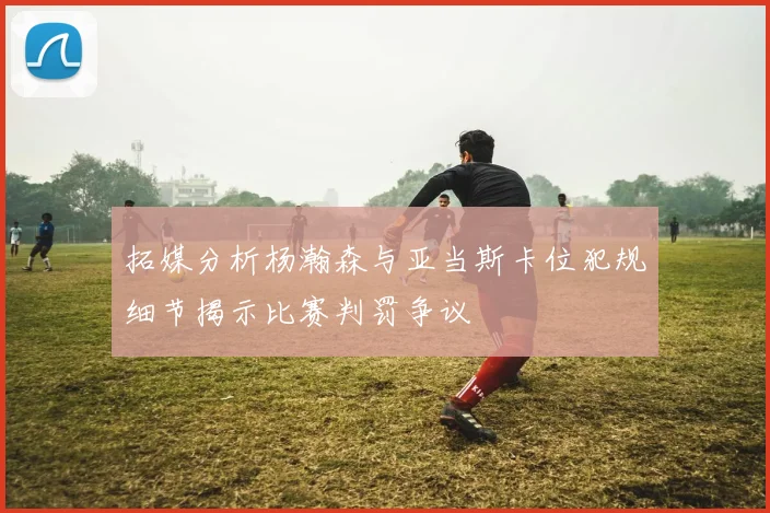 拓媒分析杨瀚森与亚当斯卡位犯规细节揭示比赛判罚争议
